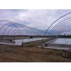 10m széles körívelt gombaház