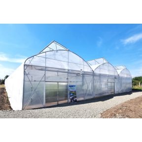 Blokkosított fóliaházak