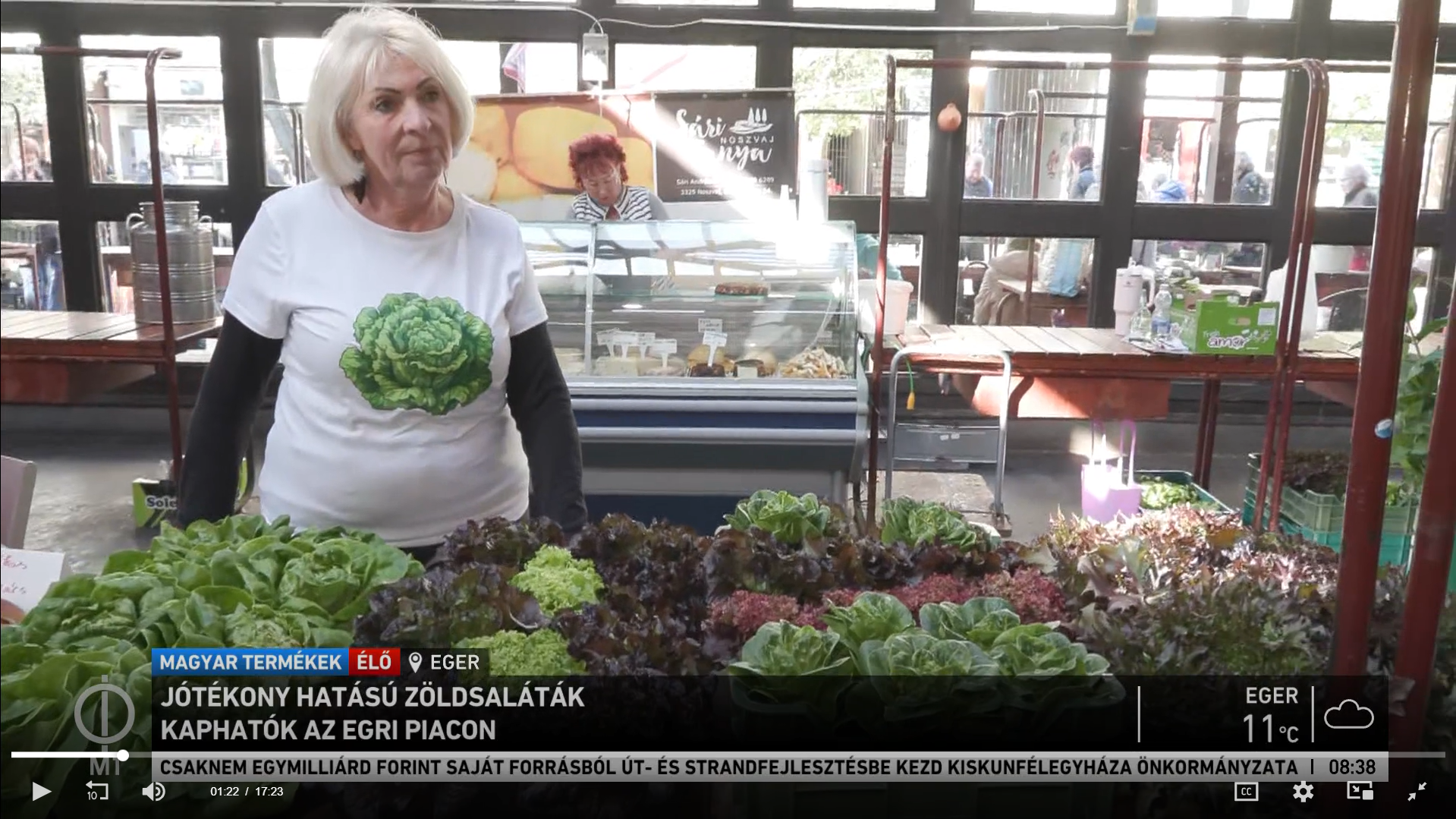 A Növény-ház az M1 Ma reggel műsorában